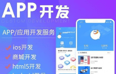 APP軟件開發公司哪家好？