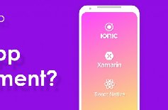 為什么要定制APP開發(fā)，APP開發(fā)定制的好處？